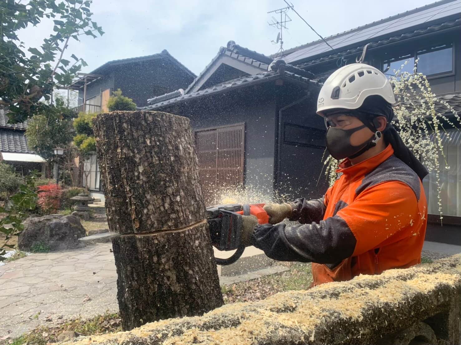 地面から届く高さまで切り下げた所で地上作業員とバトンタッチ。そのまま地際まで切り下げていきます